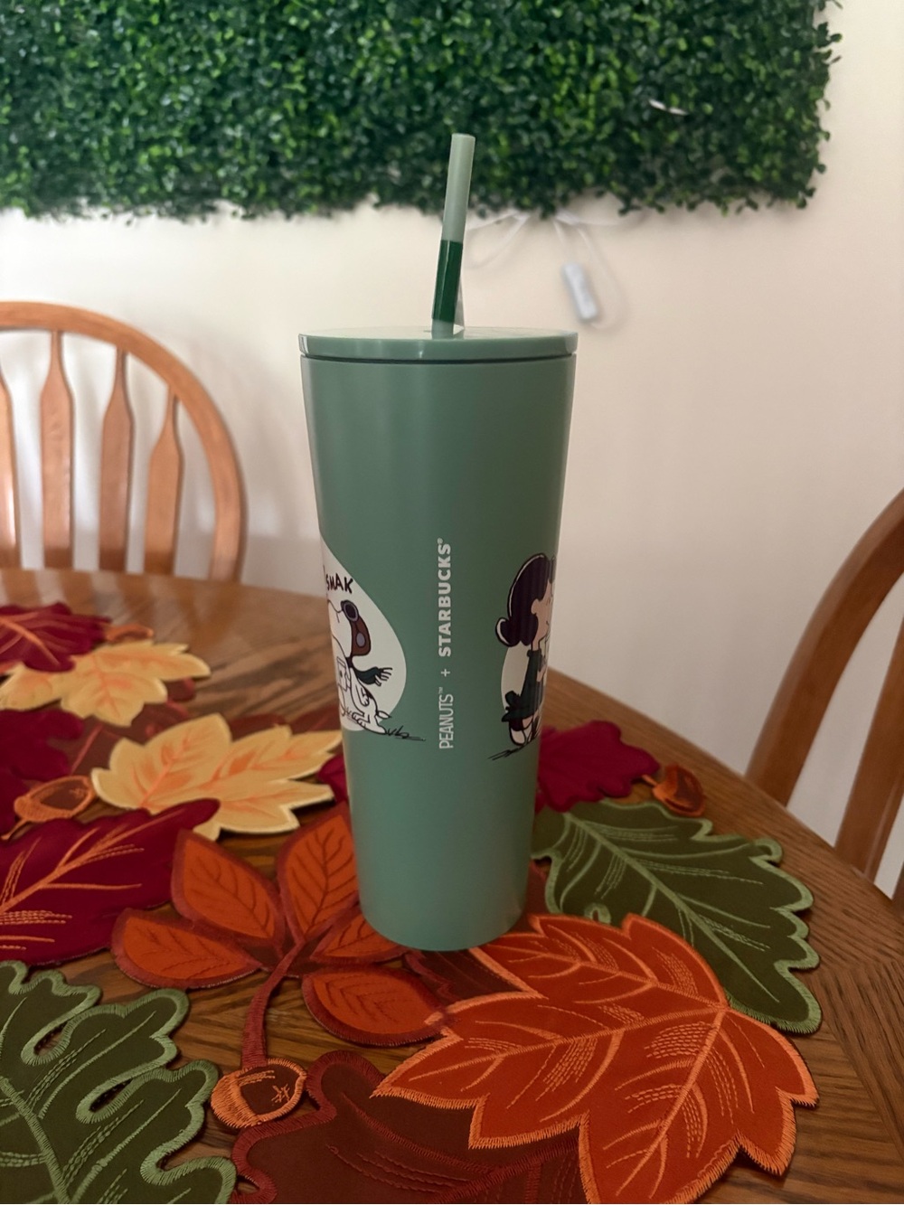 Starbucks Peanuts Green Reusable Tumblr - Picture 3 of 3